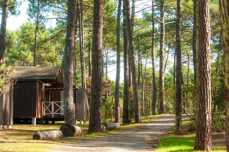 Vtf Les Oyats Sylvadoures Hotel Maubuisson Bagian luar foto