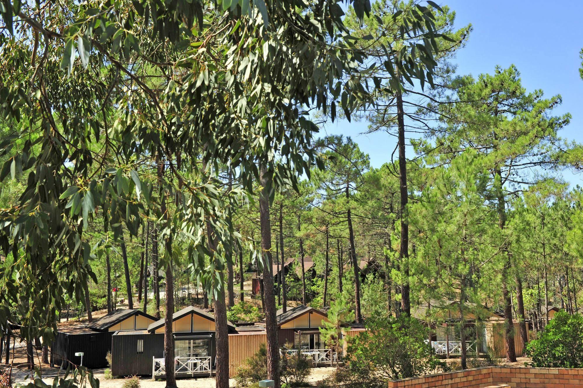 Vtf Les Oyats Sylvadoures Hotel Maubuisson Bagian luar foto